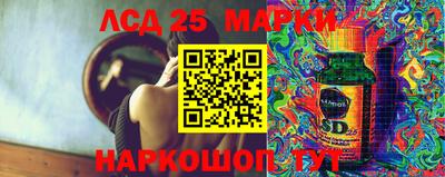 сатива Кандалакша