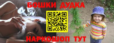 сатива Кандалакша