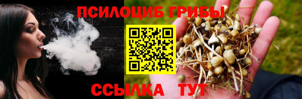 Кудрово  Галлюциногенные грибы GOLDEN TEACHER  Вход с VPN 